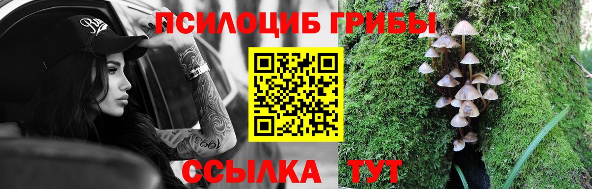 Архангельск  Псилоцибиновые грибы MAGIC MUSHROOMS  Вход с VPN 